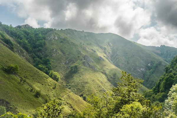 Top Vegetarian Cooking Hacks for an Unforgettable Camping Experience in the UK